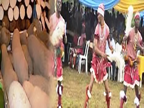 New yam festival in Igboland, South Eastern Nigeria